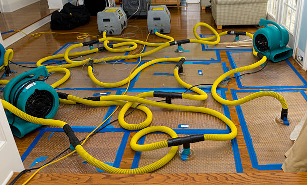 Professional Water Damage Repair technician working in Hesperia, CA
